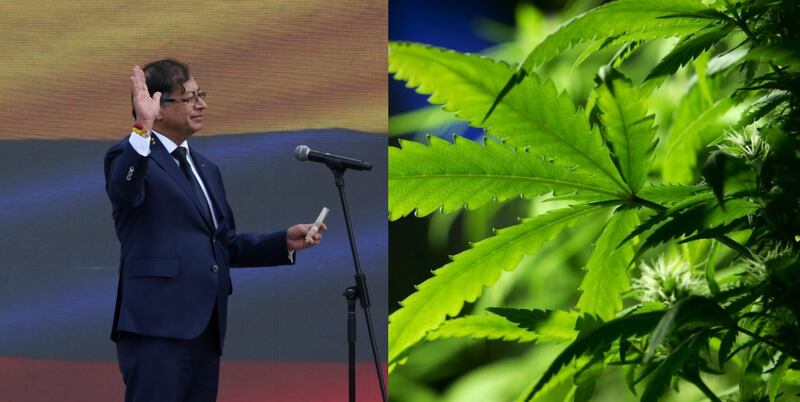 “Quien pierde es Colombia”: Petro lamenta hundimiento de ley de regulación del cannabis