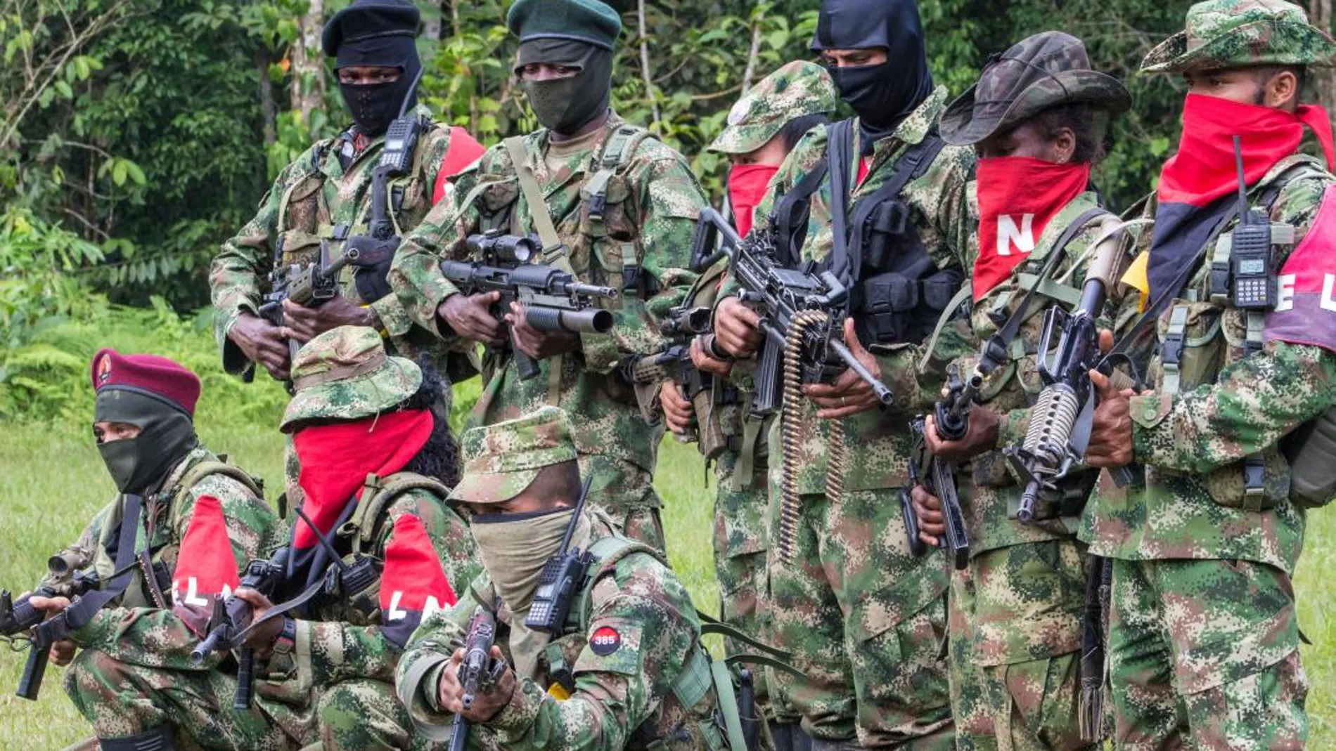 ELN se convierte en el Grupo Armado más poderoso de Colombia: Informe de EE.UU.