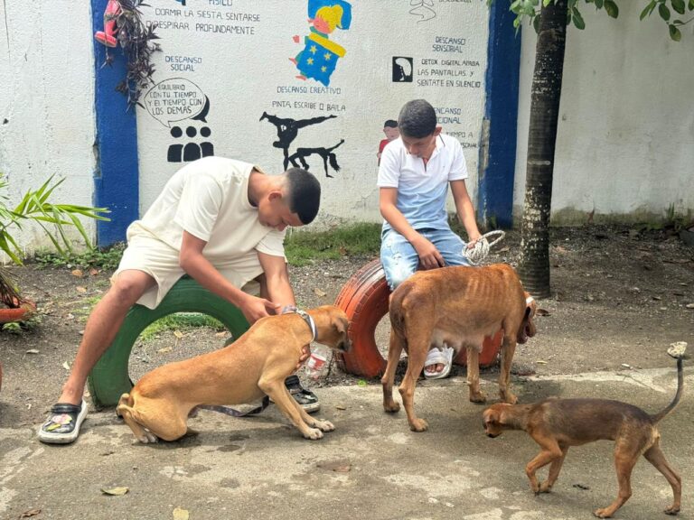 WhatsApp Image 2025-07-14 at 4.12.25 PM (2)