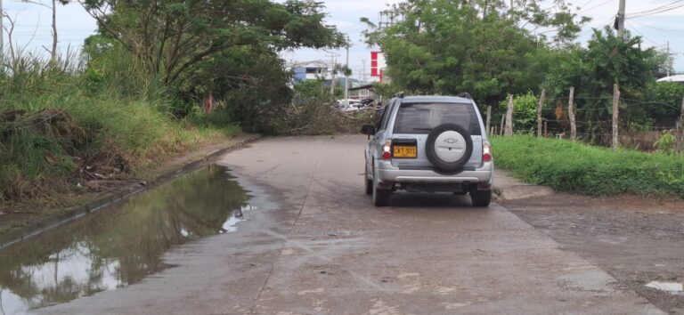 WhatsApp Image 2025-08-28 at 15.33.20