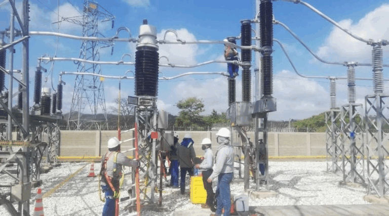 Foto: En Nuestro Campo