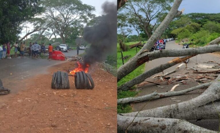 PORTADAS-VIDEOS-Presentacion-169-2025-09-03T094315.838-780x470