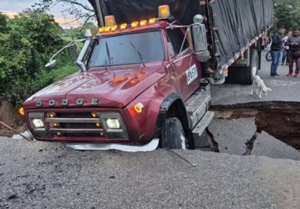 PORTADAS-VIDEOS-Presentacion-169-2026-02-02T083302.193-780x470