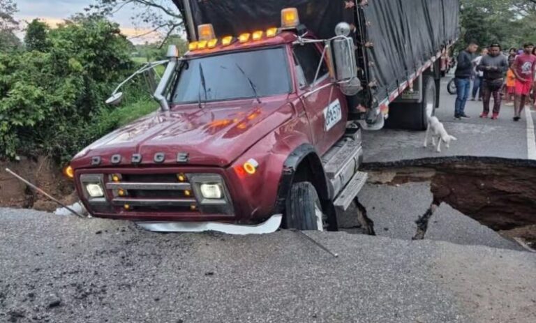 PORTADAS-VIDEOS-Presentacion-169-2026-02-02T083302.193-780x470